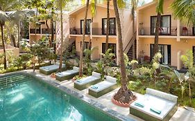 Altr Nativ Morjim, Goa